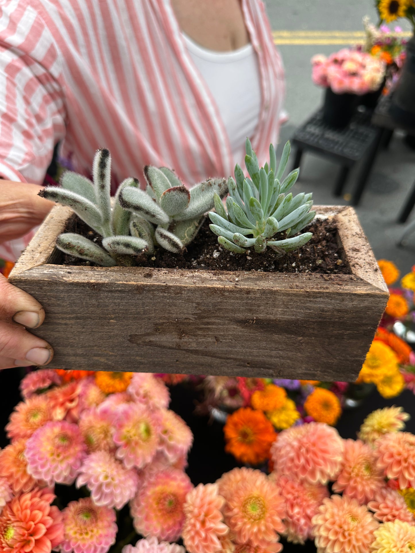 Rectangular wooden succulent planter