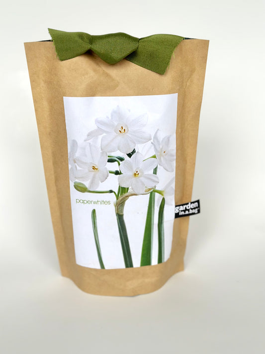 Paper White Packets