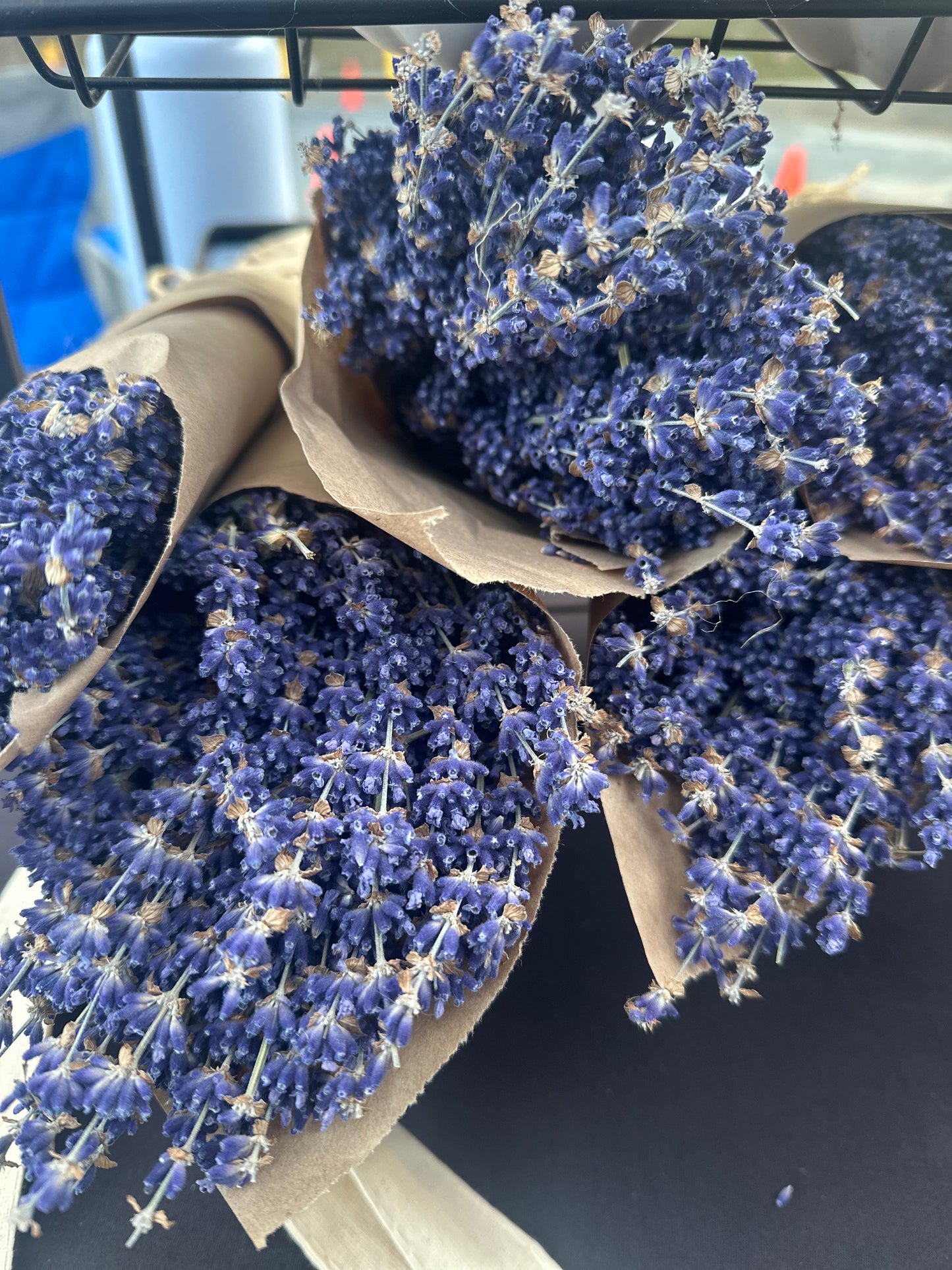 Dried lavender bunch