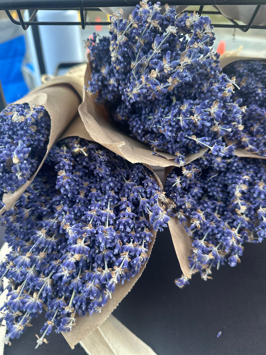 Dried lavender bunch
