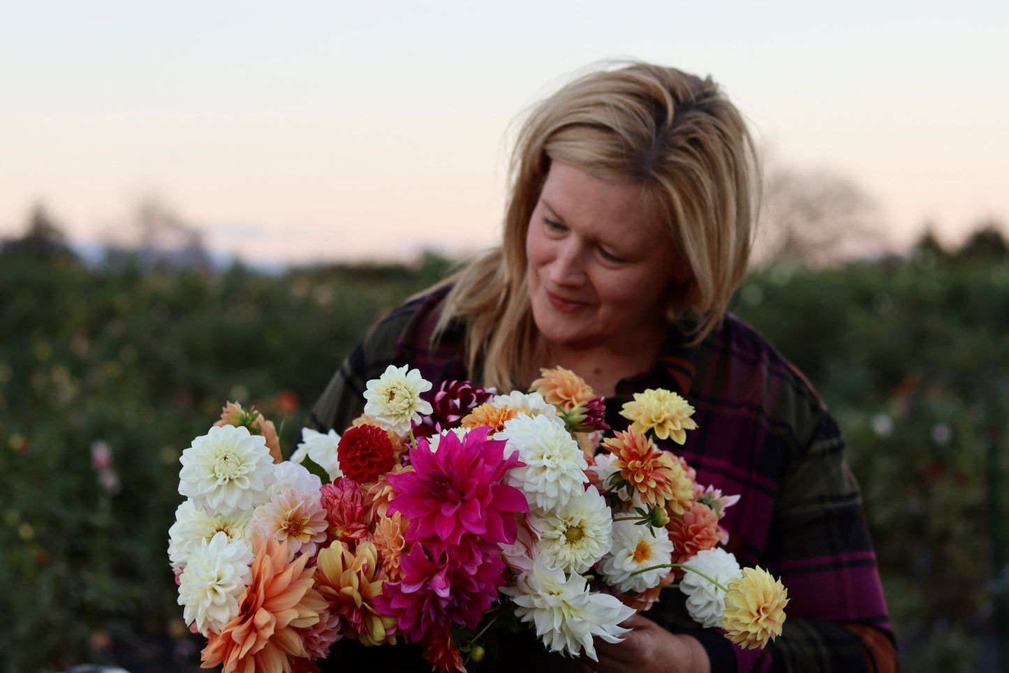 The 2026 Field Journal: Weekly Mixed Bouquet