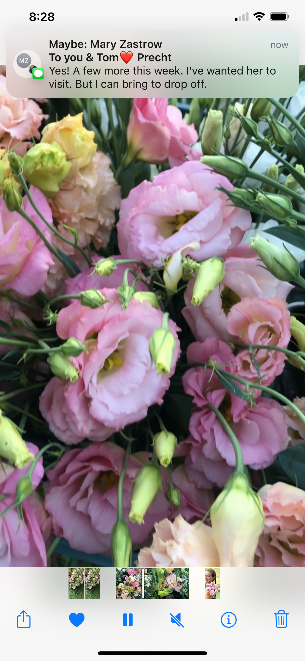 The Summer Silk: Elegant Lisianthus