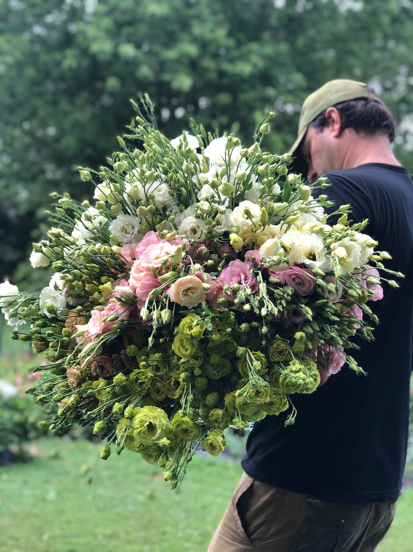 The Summer Silk: Elegant Lisianthus